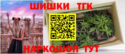 дживик Кингисепп