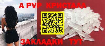 дживик Кингисепп