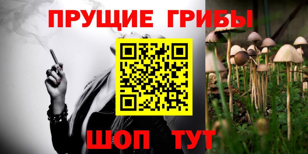 Псилоцибиновые грибы Psilocybine cubensis Котовск