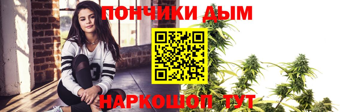 Бошки Шишки планчик Котовск